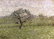 Camille Pissarro Apple oil on canvas